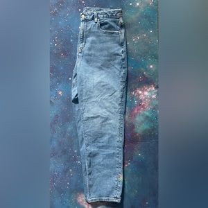 American Eagle Curvy Mom Jean 12